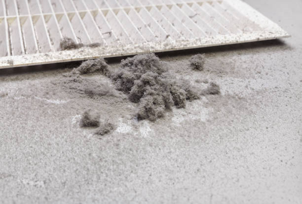 Best Air Duct Cleaning Near Me  in Albion, IN
