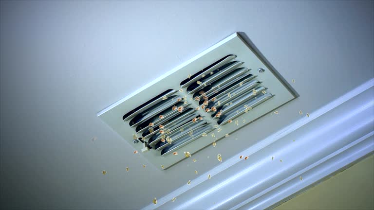 Ventilation Cleaning Services in Albion, IN