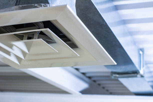 Best Local Air Duct Cleaning Services  in Albion, IN