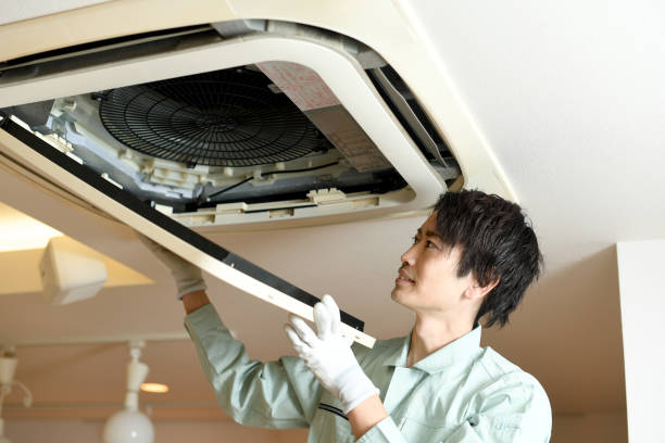 Best Affordable Duct Cleaning Services  in Albion, IN