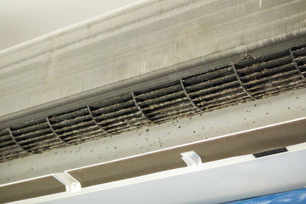 Best Professional Duct Cleaning Services  in Albion, IN